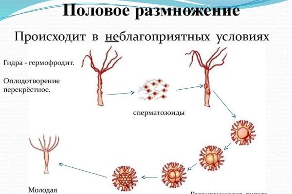 Кракен клирнет ссылка