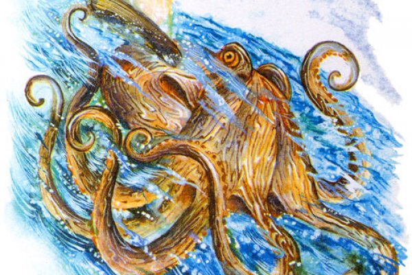 Настоящий сайт kraken