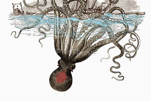 Кракен сайт официальный kraken clear com