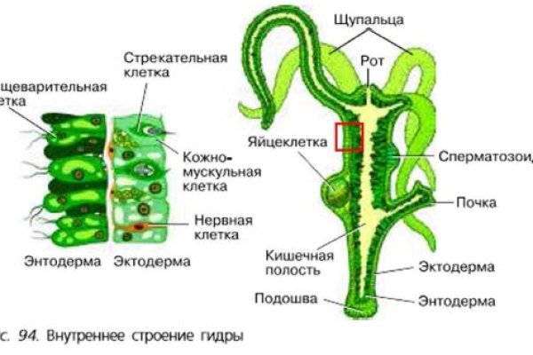 Как найти ссылку на кракен