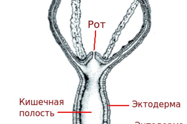 Кракен ссылка pw