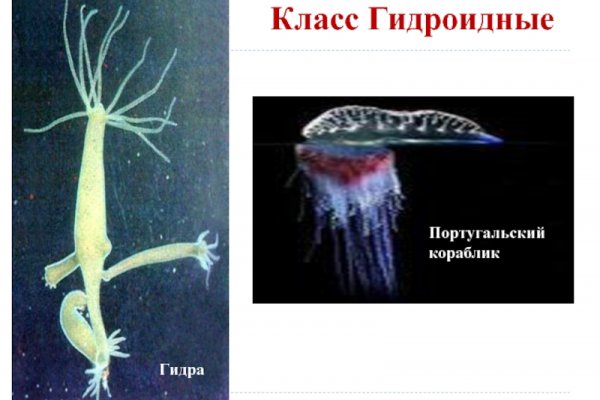 Kraken дарк магазин