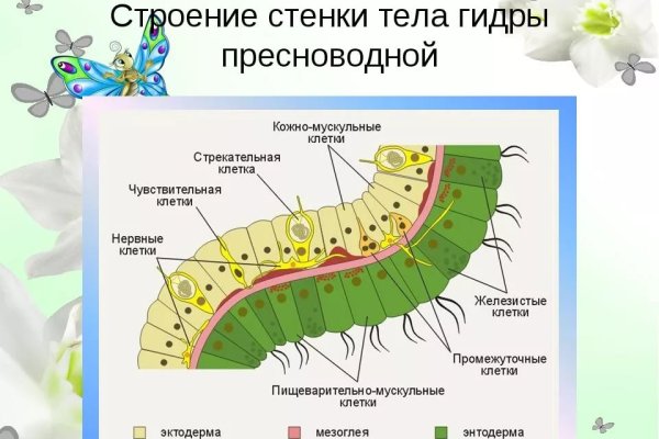 Кракен даркент