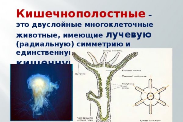 Как зайти на площадку кракен