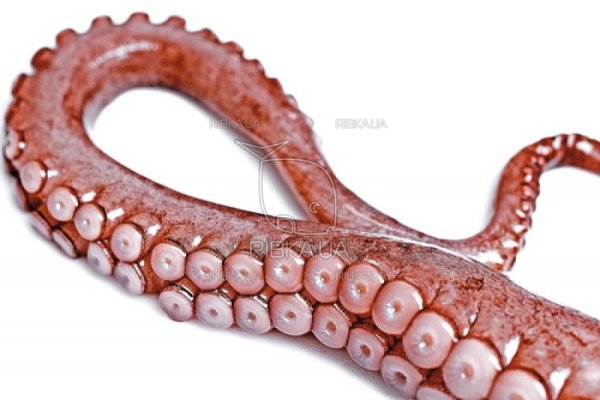 Kraken сайт магазин