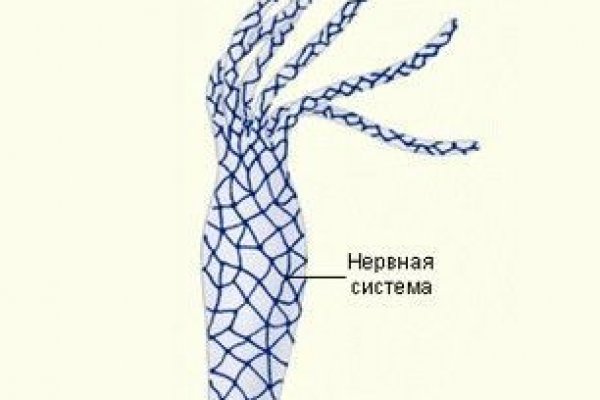 Ссылка на kraken торговая площадка