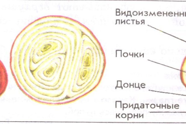Кракен ссылка store
